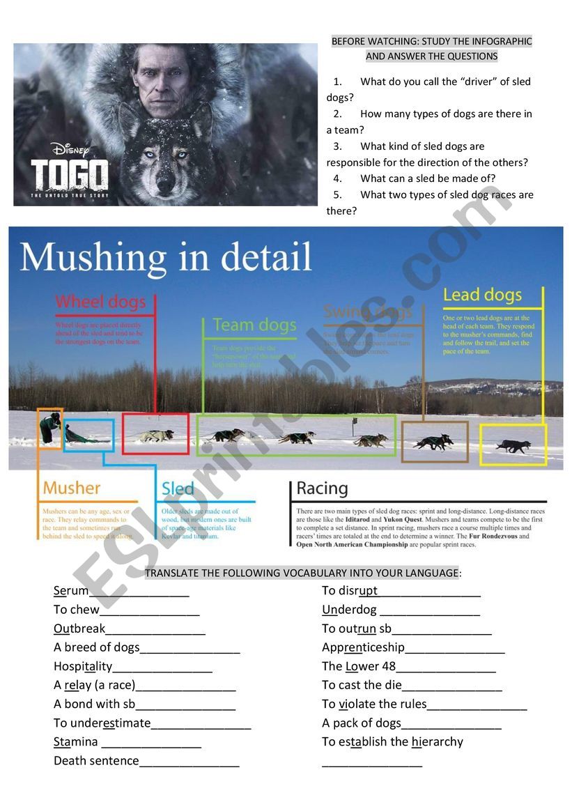 TOGO - FULL MOVIE WORKSHEET worksheet