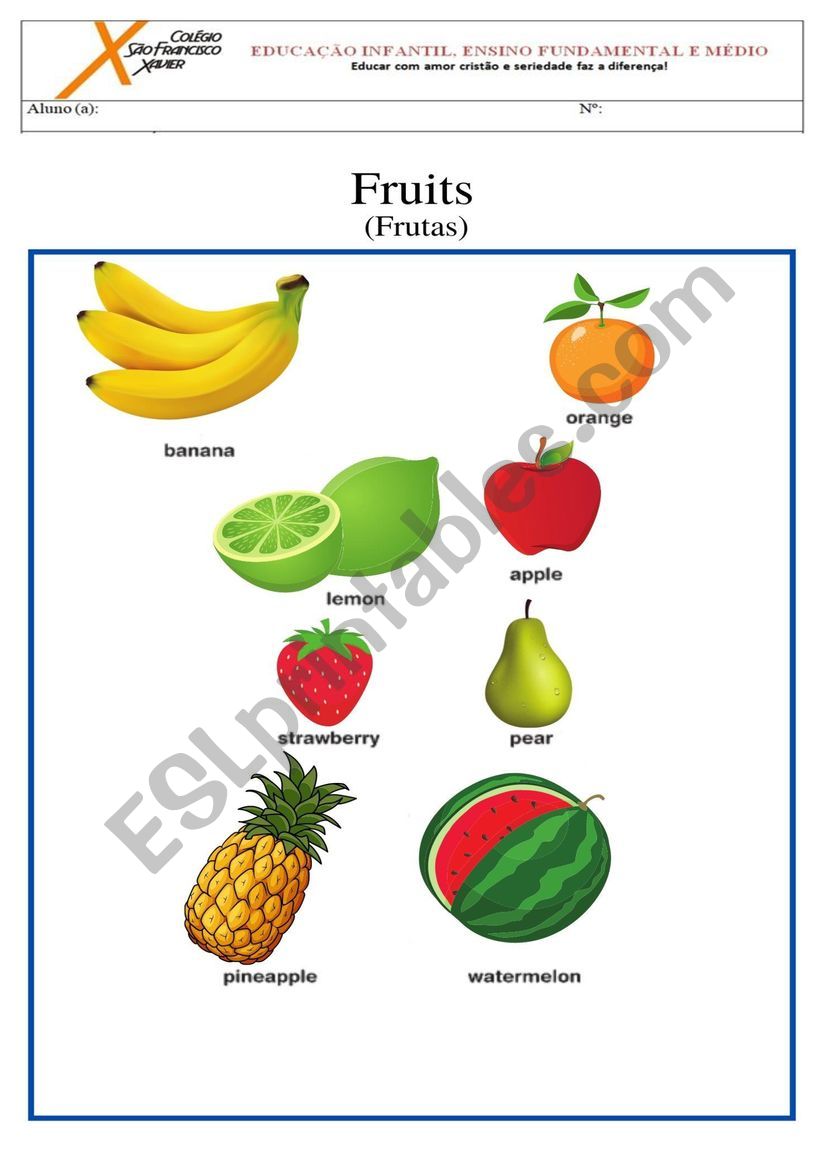 Fruits worksheet