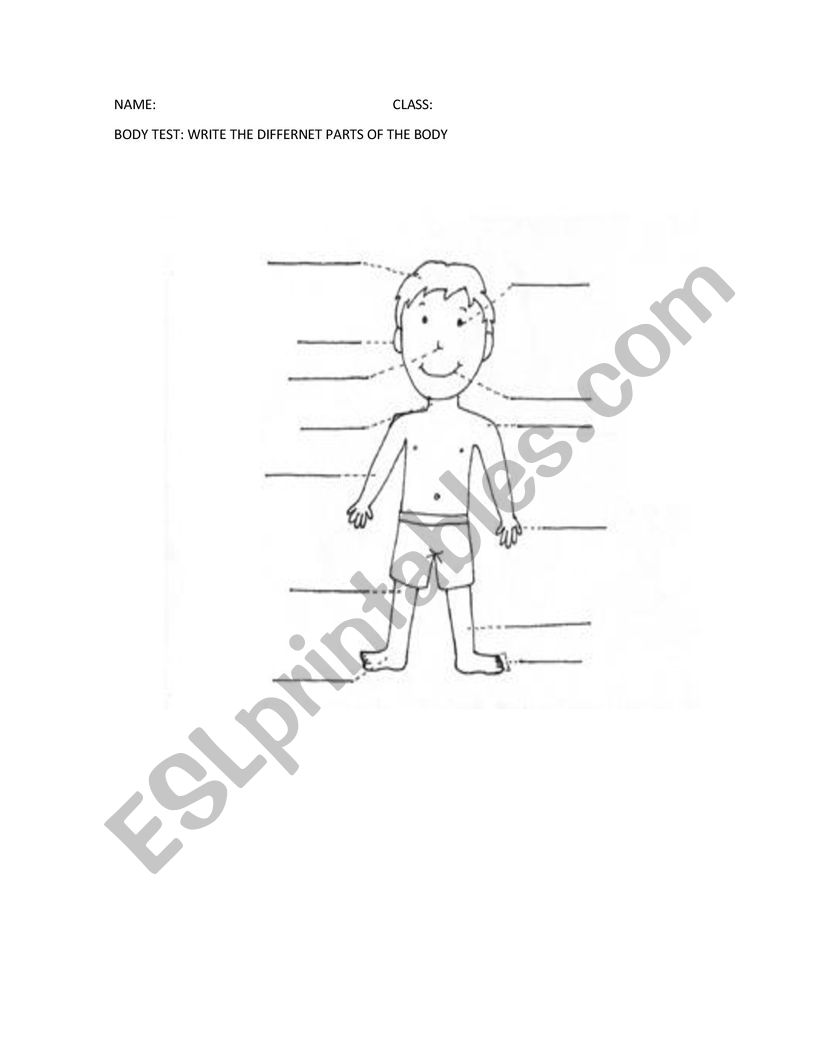 body worksheet
