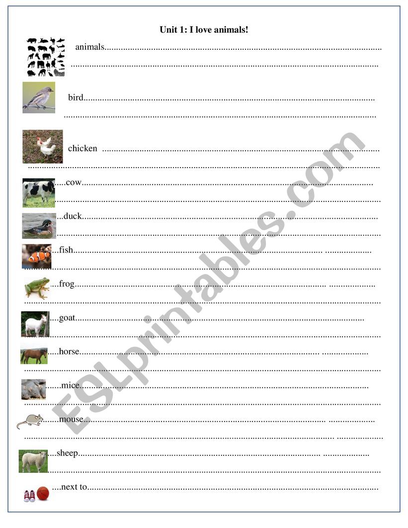 Get ready for starter unit 1 worksheet