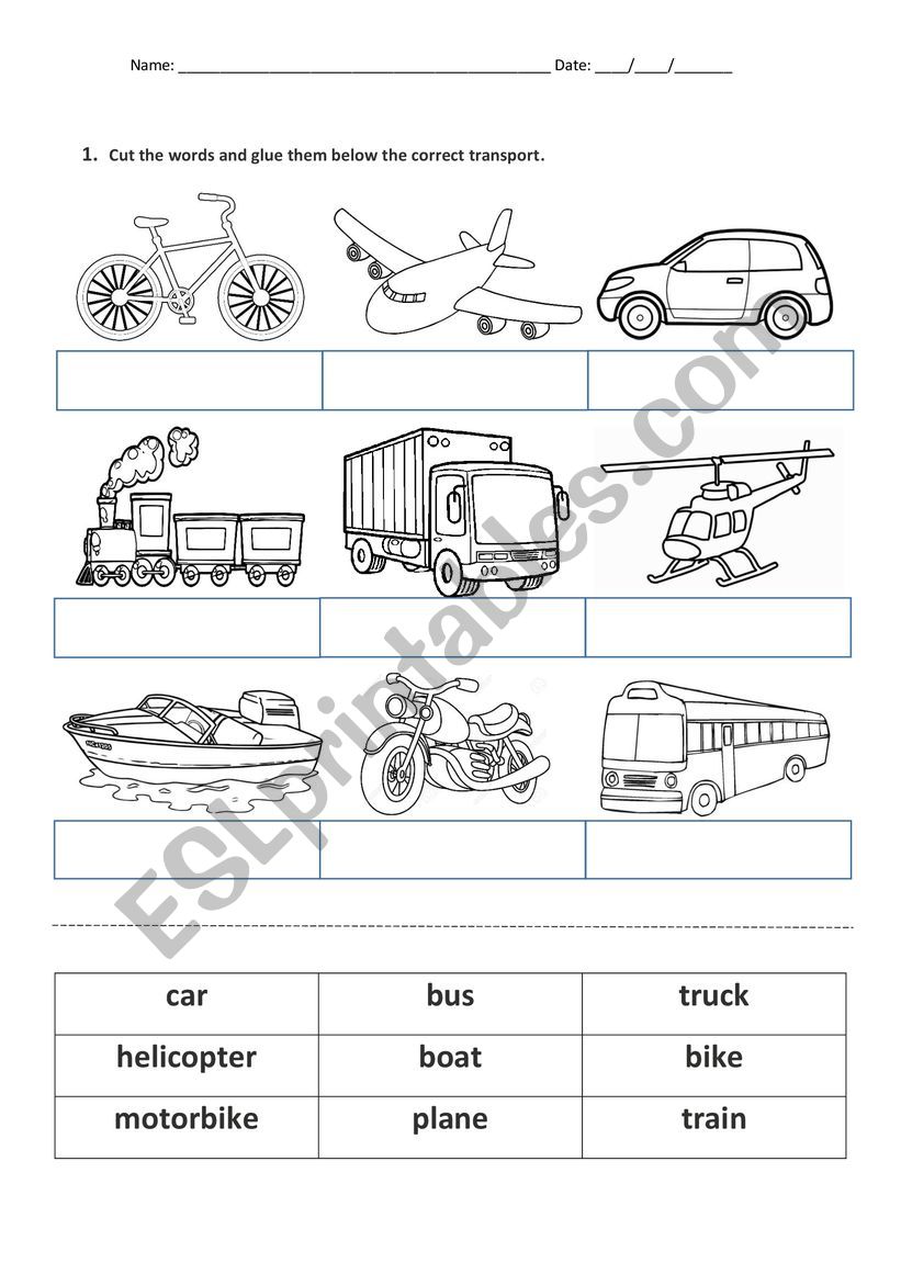 Transports worksheet