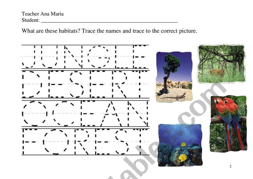 Wild animals - habitats 1 - ESL worksheet by teacheranamaria98