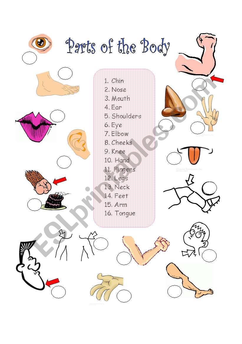 Body Parts worksheet