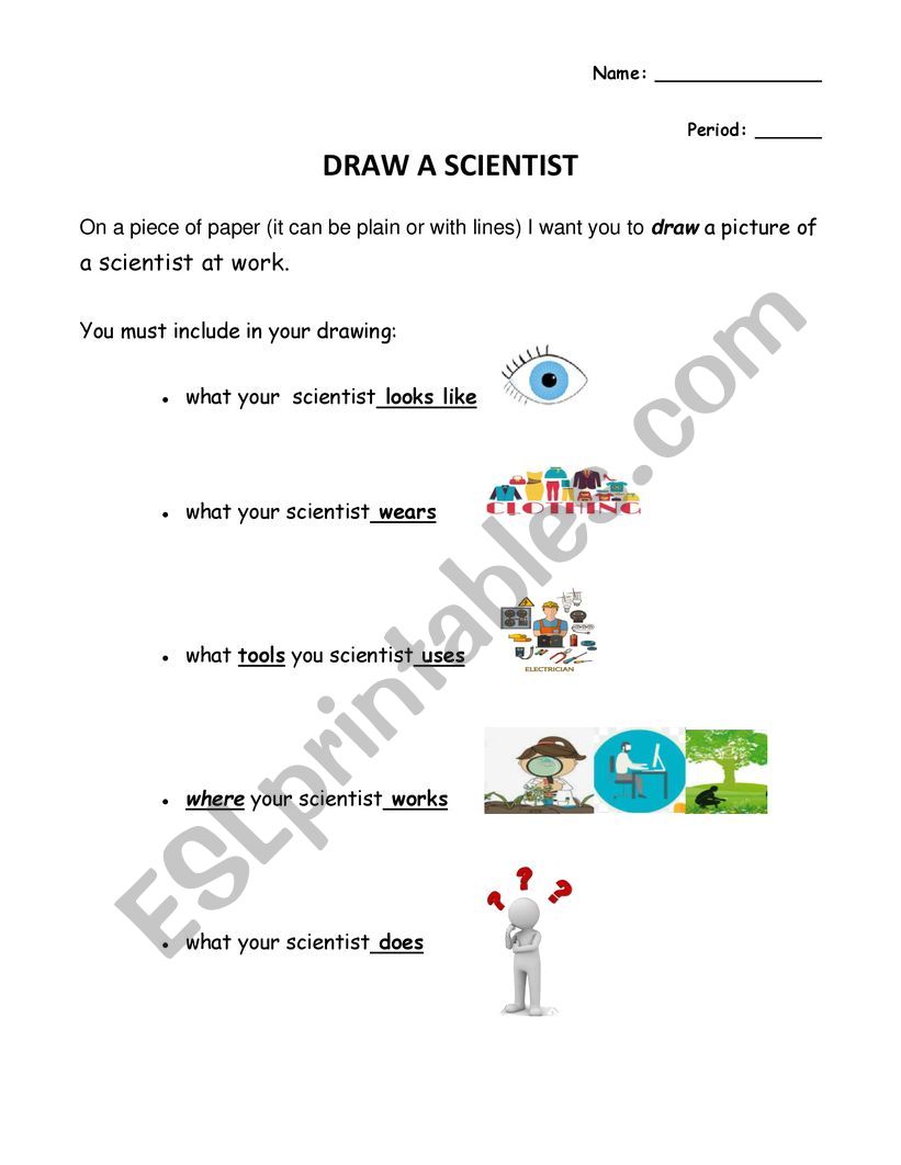 Draw a Scientist worksheet
