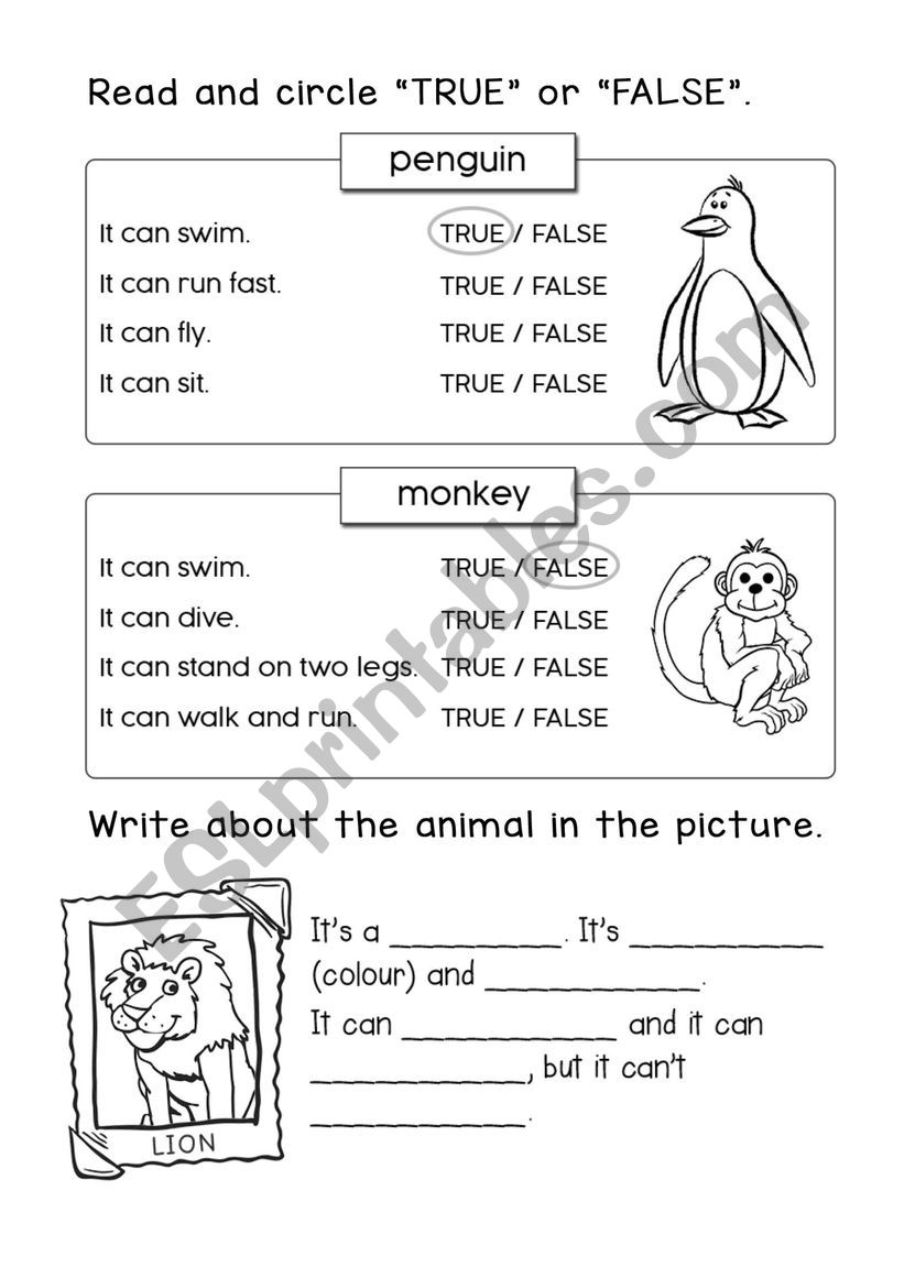 Animals worksheet