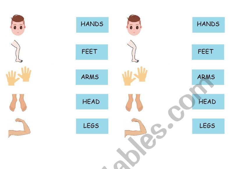 Parts of the body - Match  worksheet
