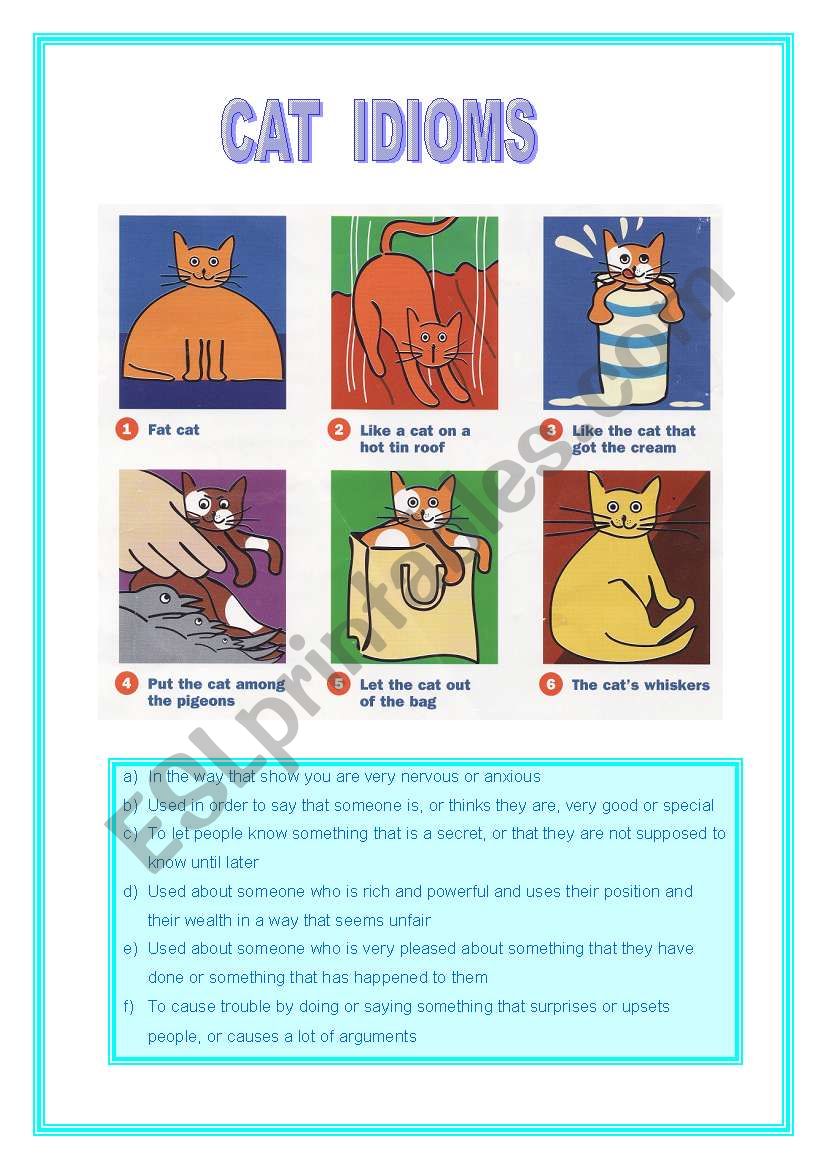 cat idioms worksheet