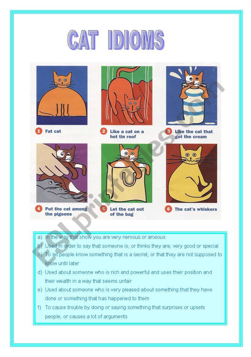 Cat Idioms with meaning and sentence