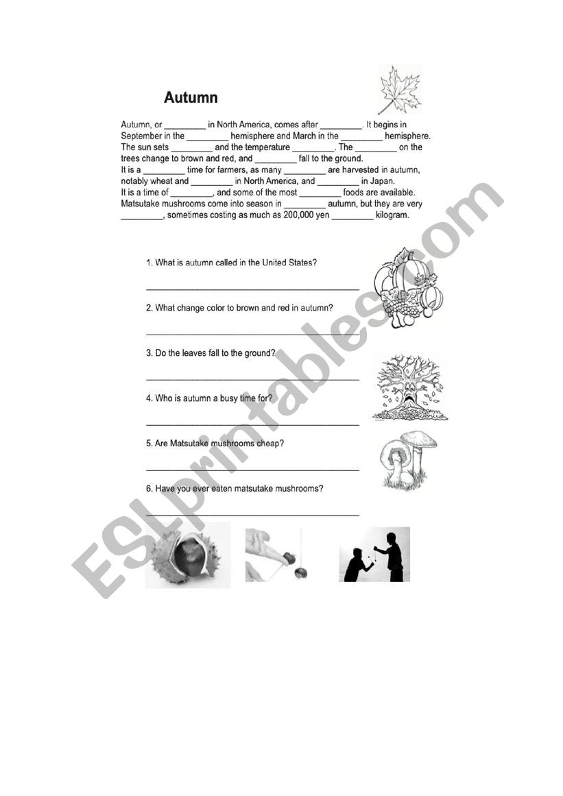 Autumn worksheet