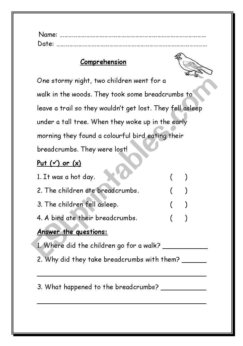 Comprehension worksheet