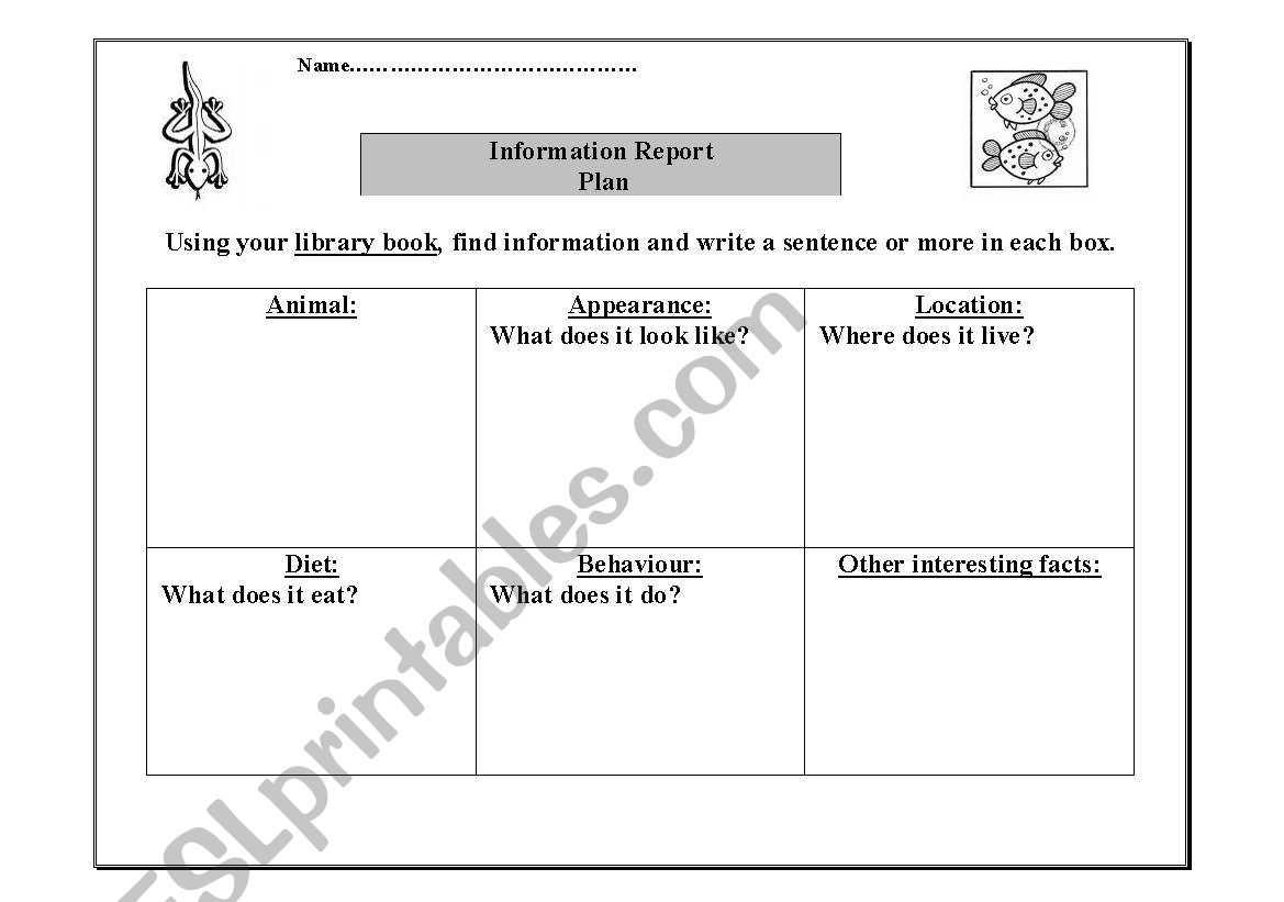 Information Report worksheet