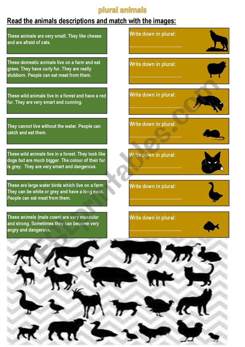 plural forms of animals worksheet