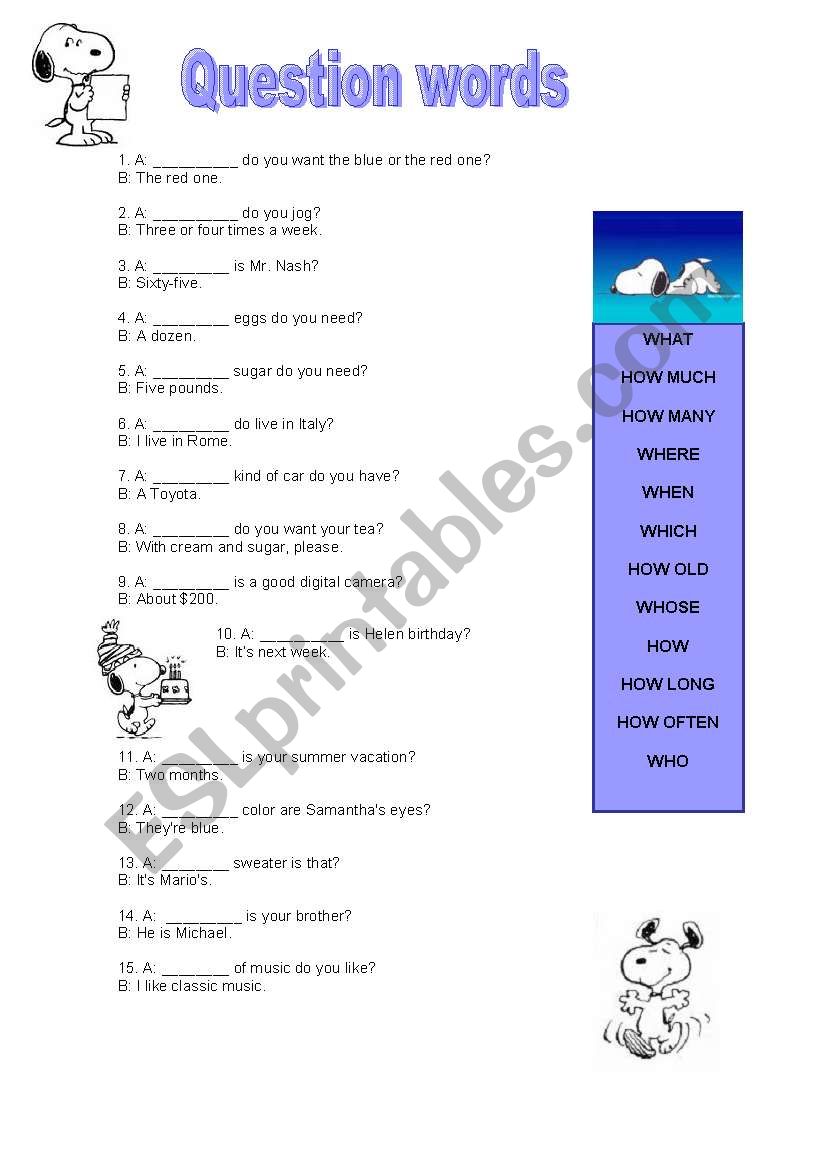 Question words worksheet