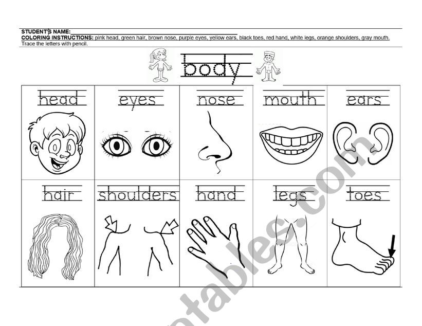 BODY PARTS PRACTICE worksheet