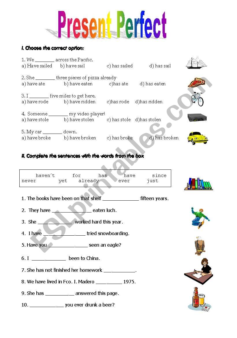 Present perfect worksheet