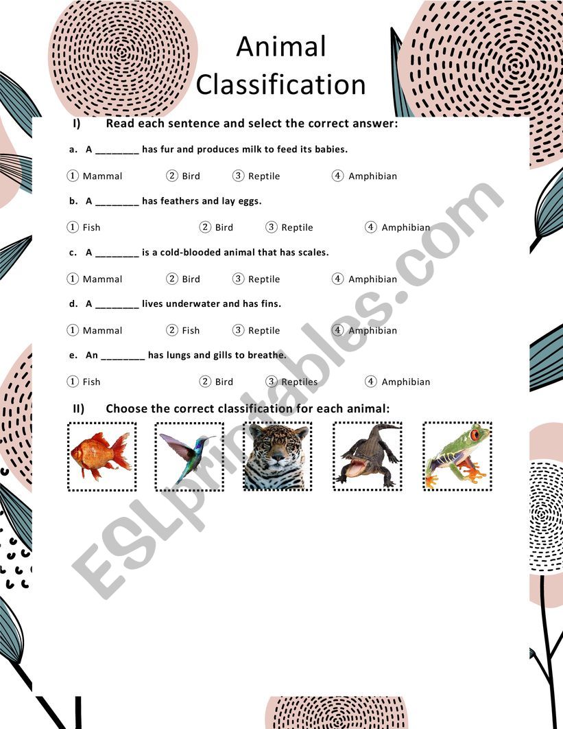 Animal Classification worksheet
