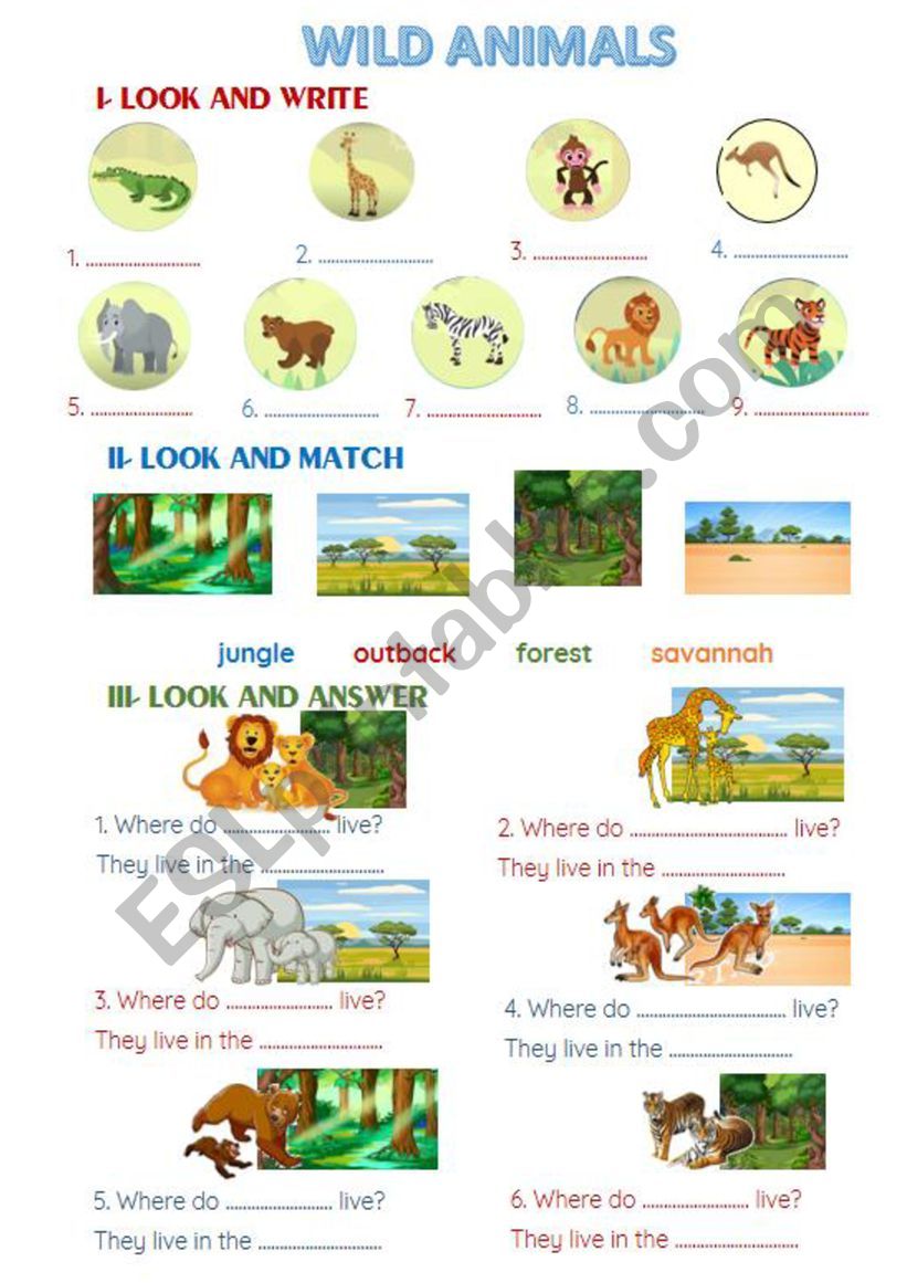 Wild animals  worksheet