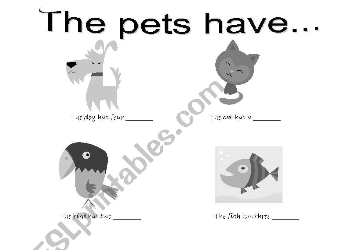 The pets have worksheet