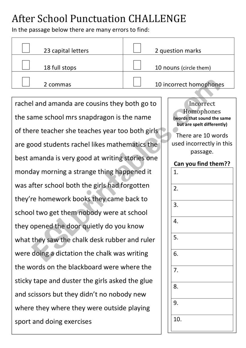 Punctuation Challenge worksheet