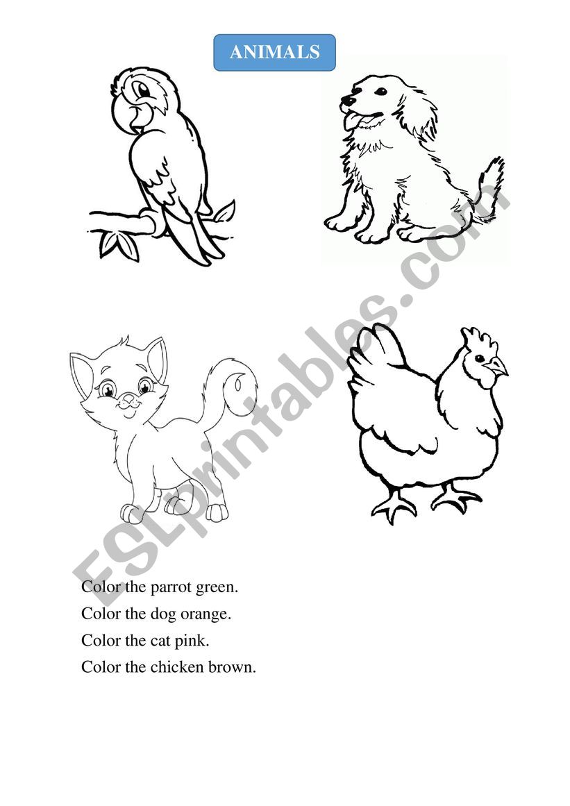 Animals worksheet