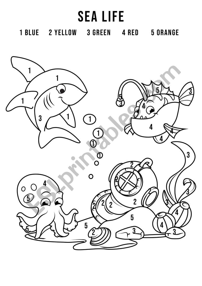 SEA LIFE worksheet