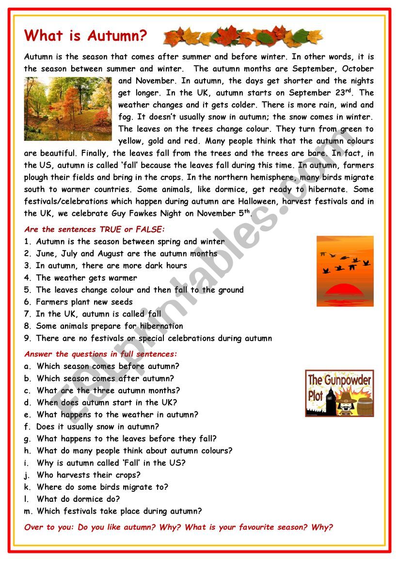 What is autumn? worksheet