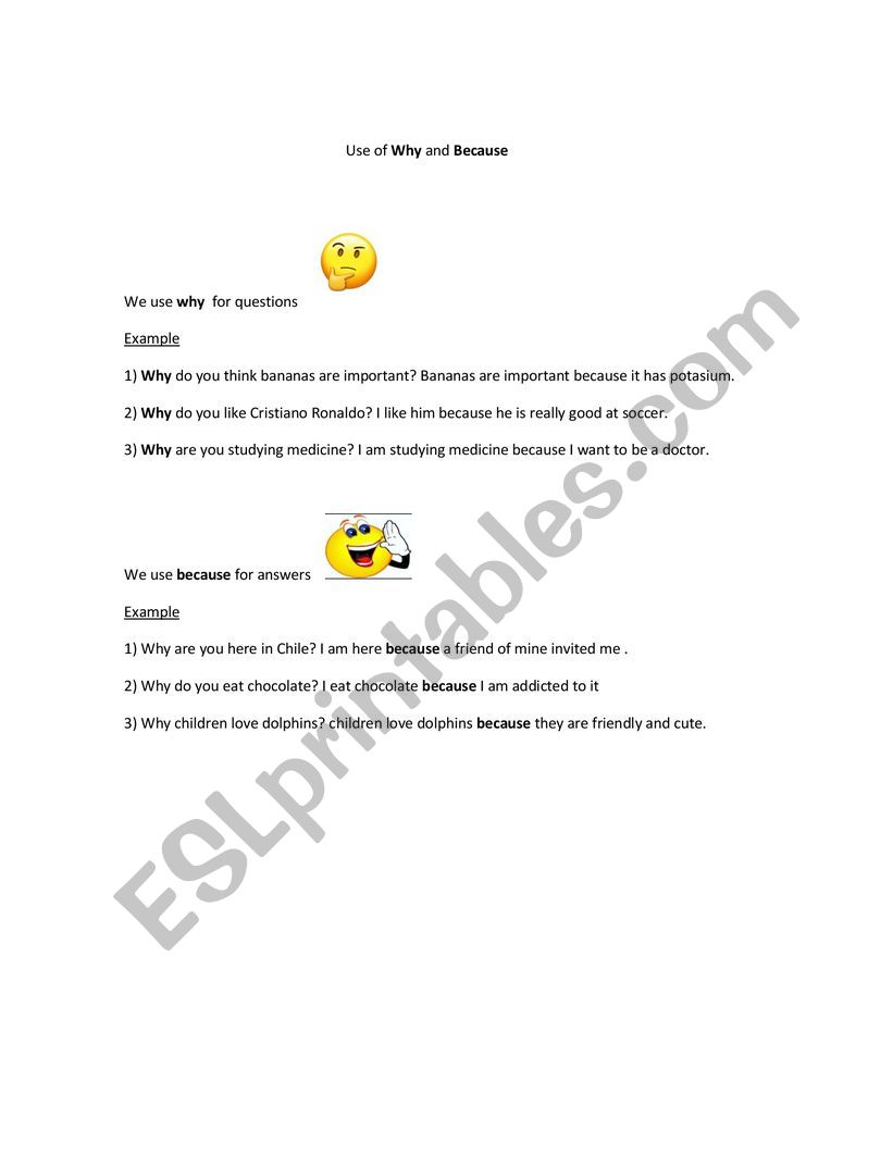 use of why and because worksheet