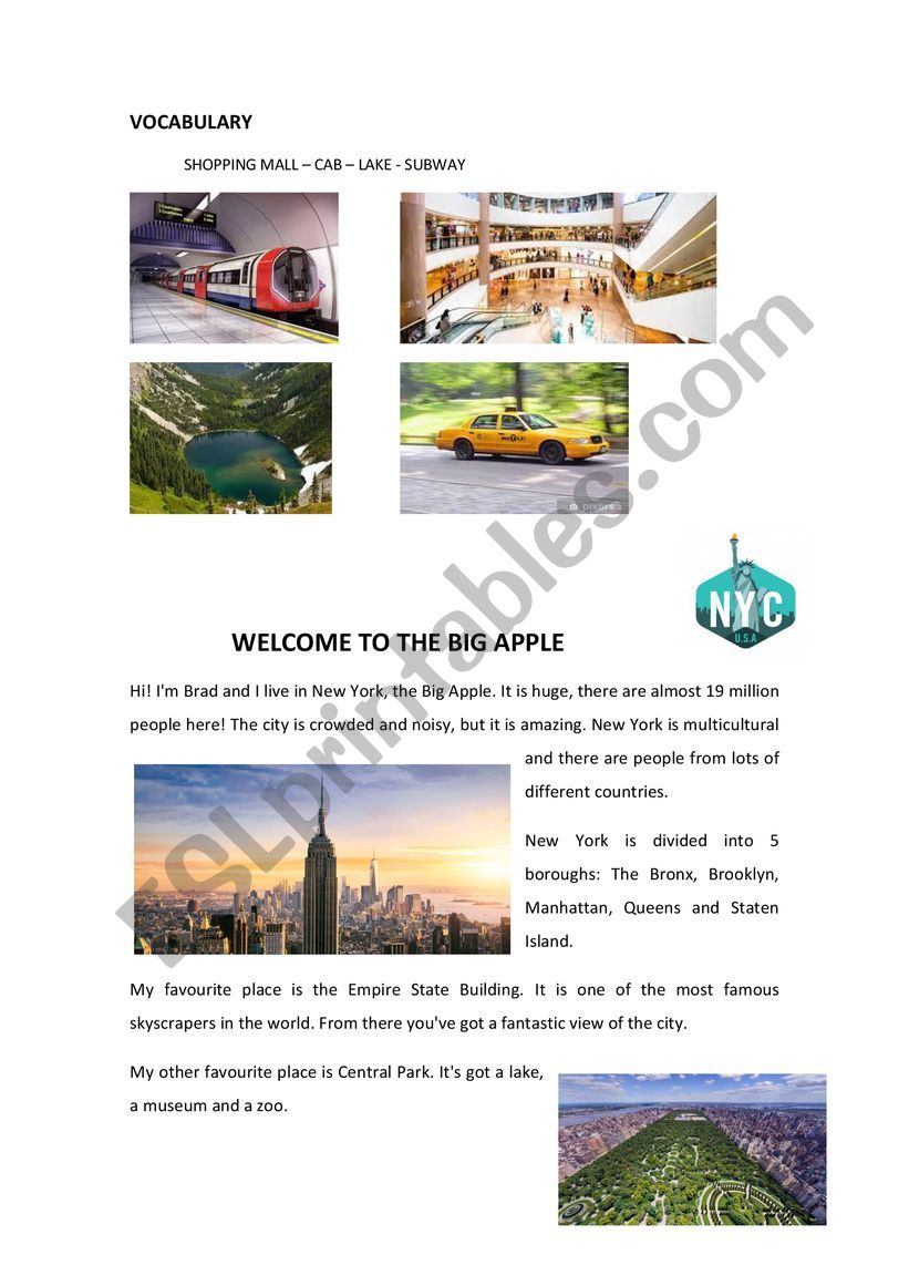 NEW YORK THE BIG APPLE worksheet