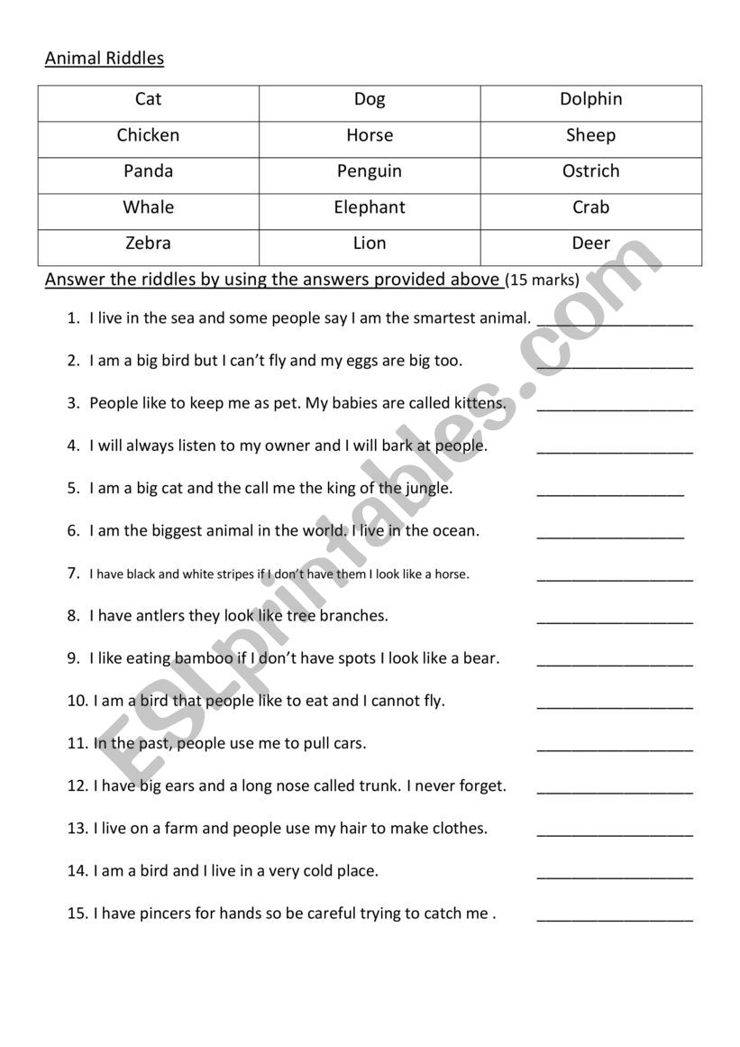 Animal Riddles worksheet