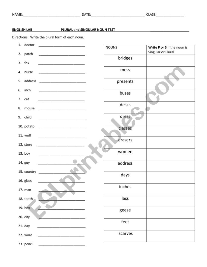 Plural Noun Test worksheet