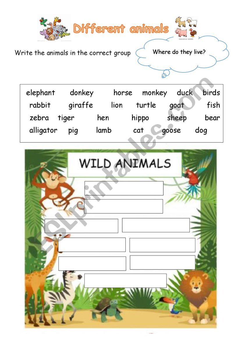 Different animals live in different places - ESL worksheet by Kaira YU