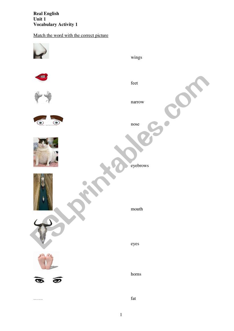 REVISION  worksheet