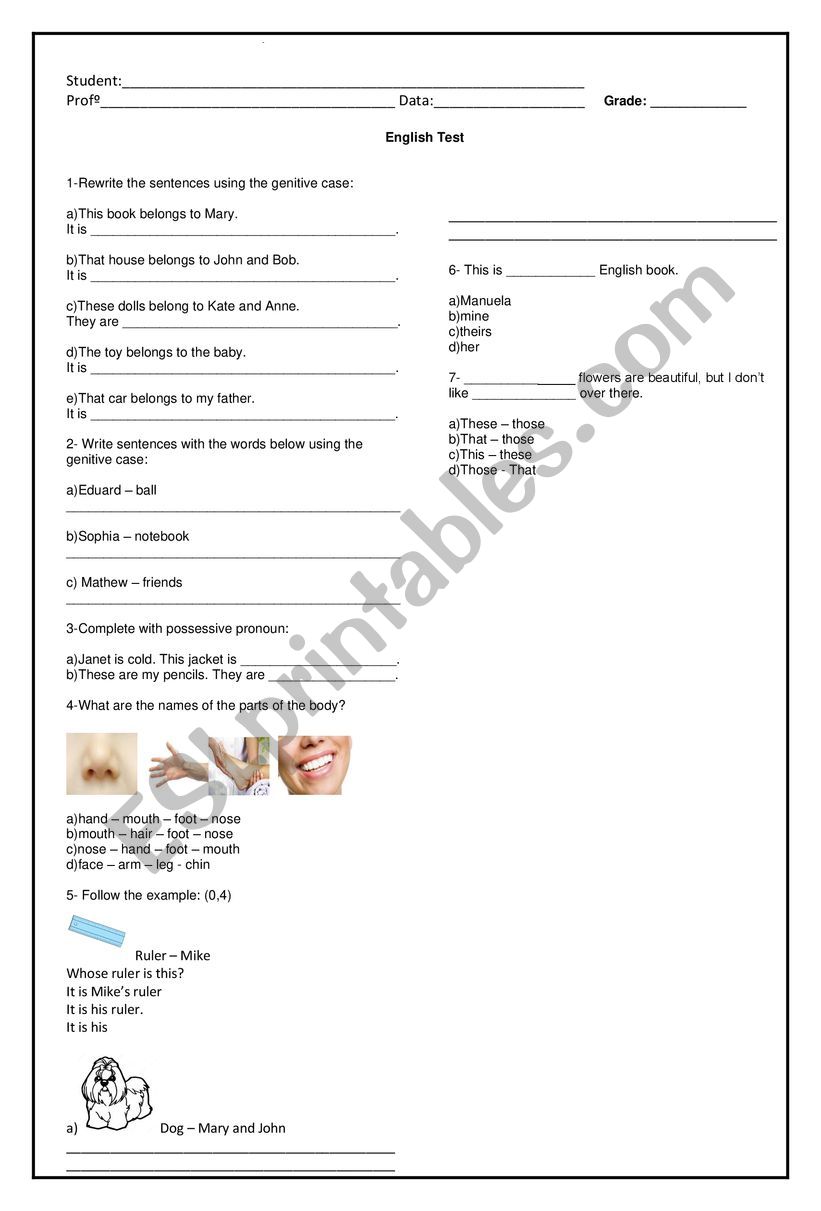 Genitive case worksheet