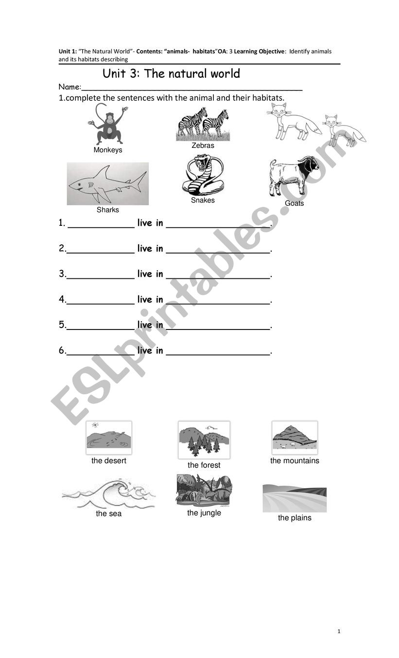 habitat and animals worksheet