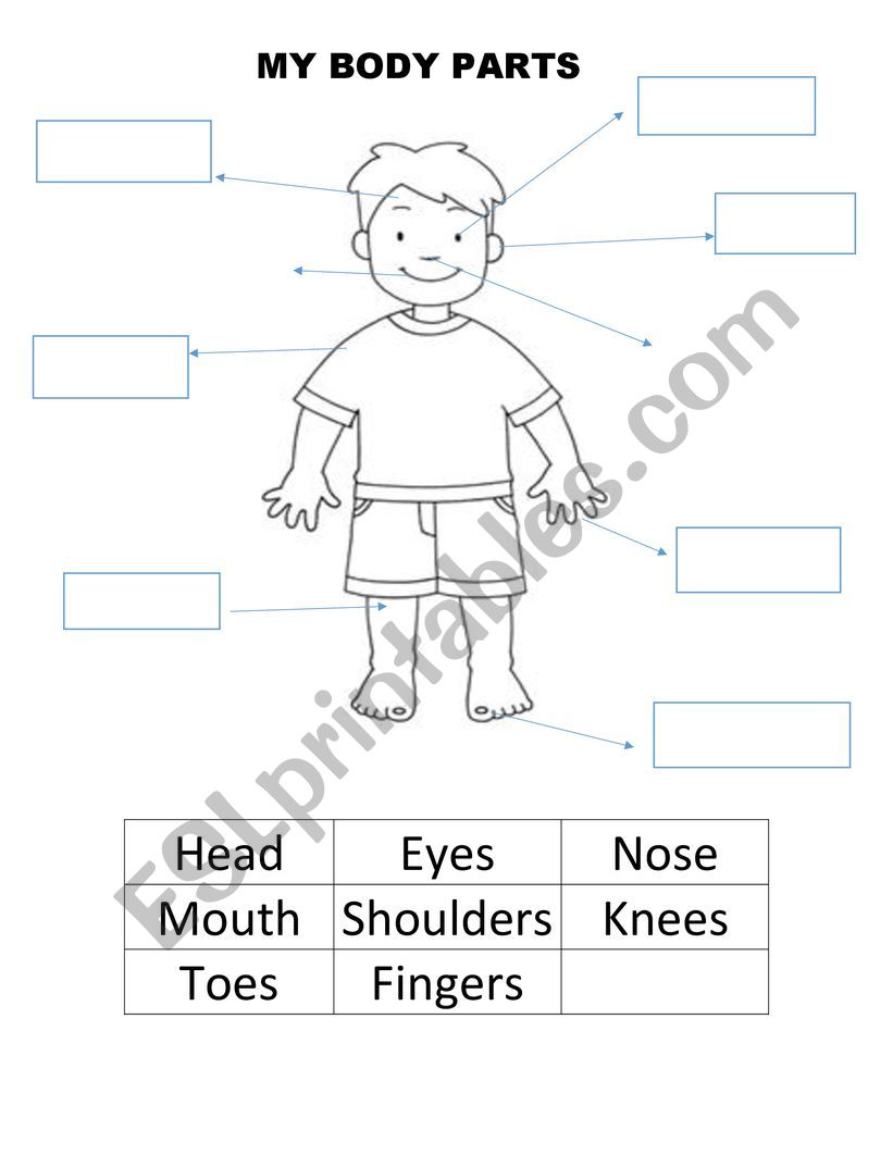 MY BODY PARTS  worksheet