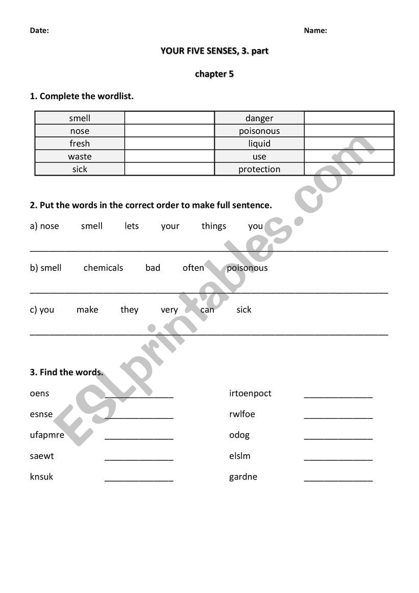 YOUR FIVE SENSES, 3. part worksheet