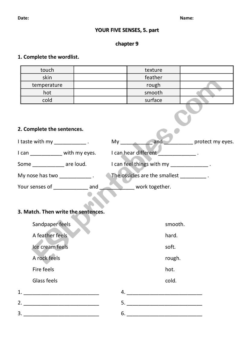 YOUR FIVE SENSES, 5. part worksheet