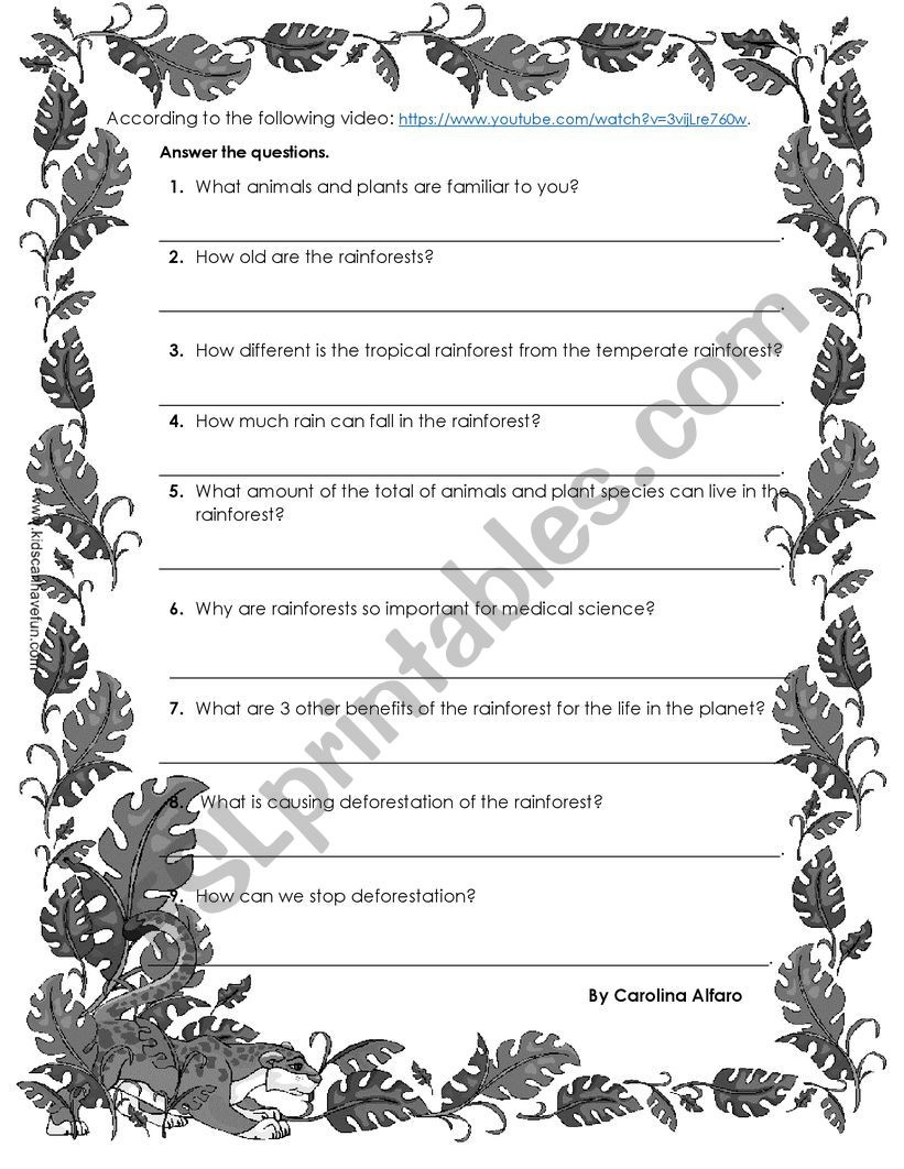 Rainforest worksheet