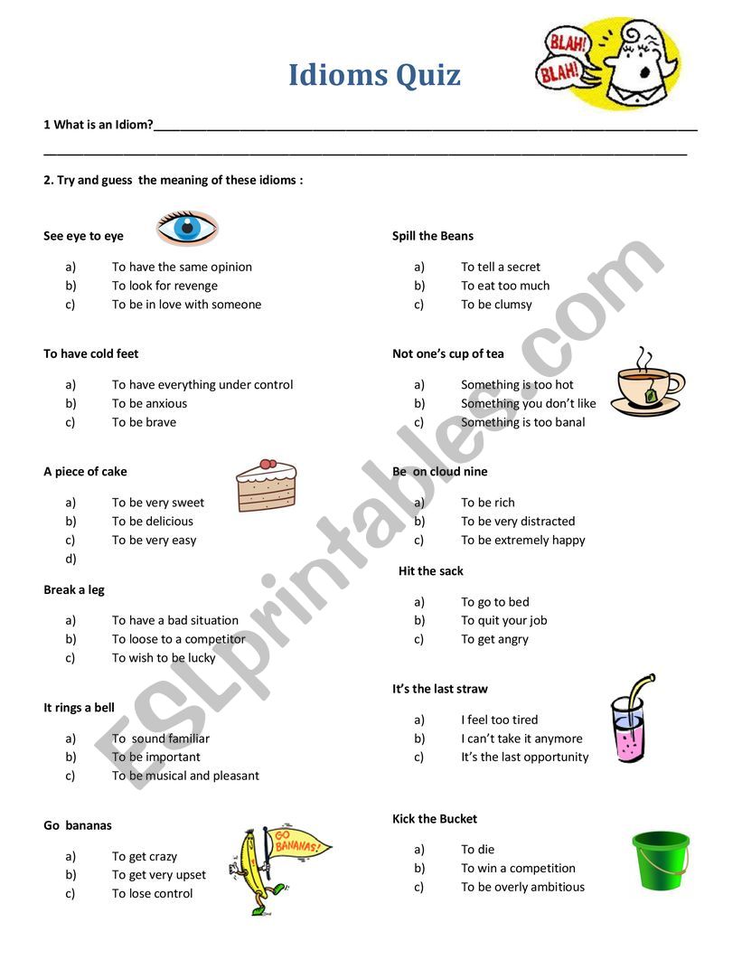 Idioms Quiz  worksheet