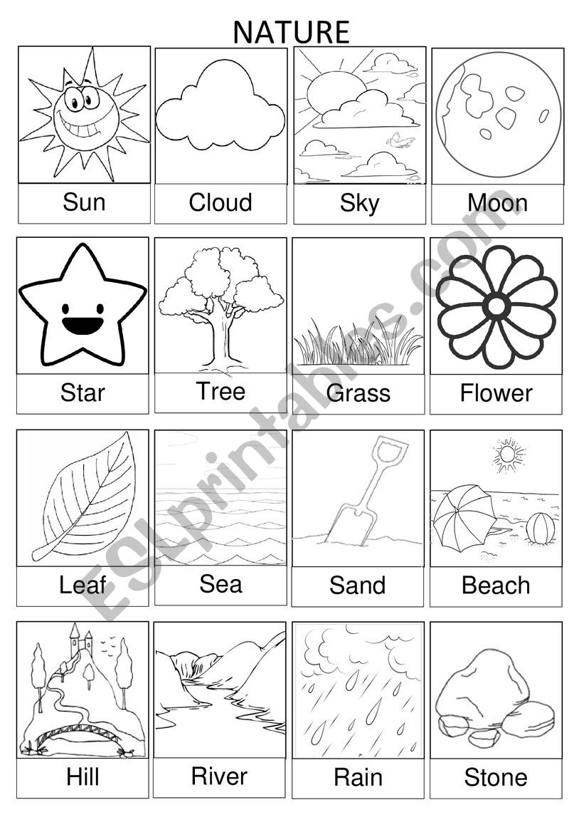 Nature - Pictionary worksheet