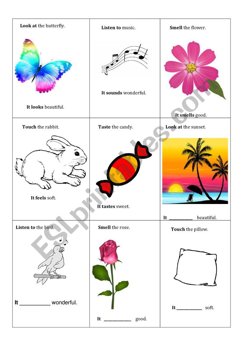 The Five Senses  worksheet