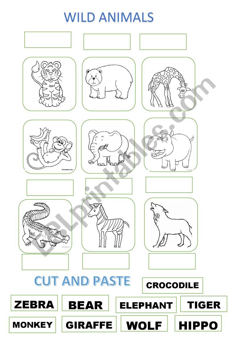 WILD ANIMALS worksheet