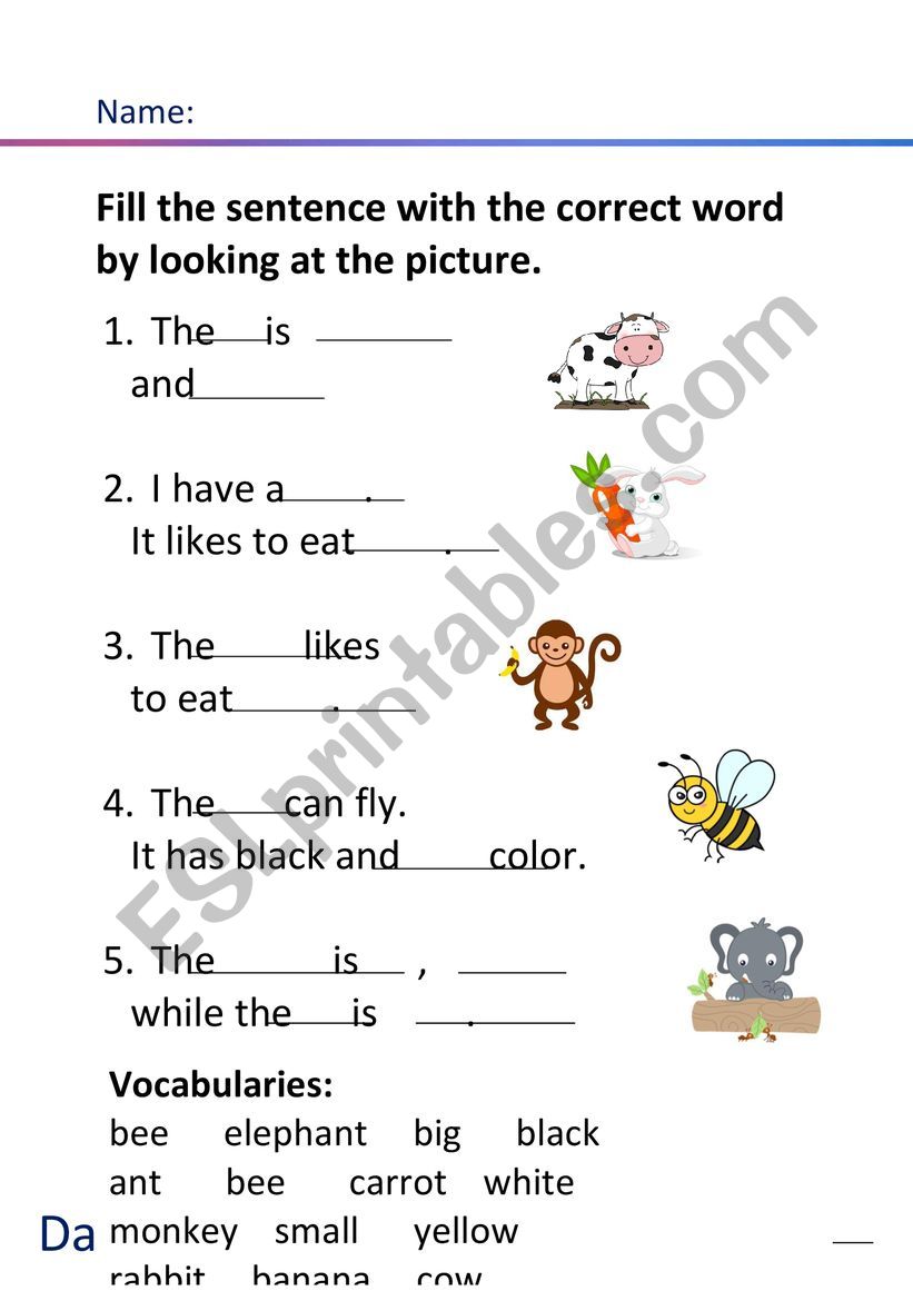 Animal worksheet