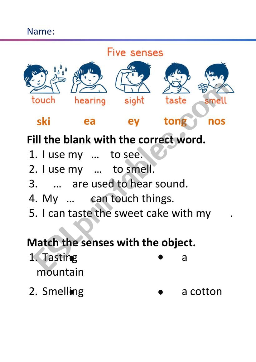 Five Senses worksheet