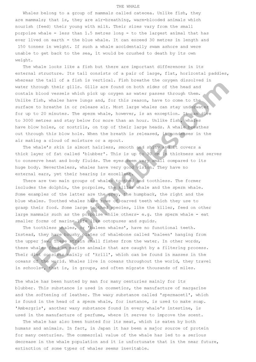 Reading Comprehension worksheet