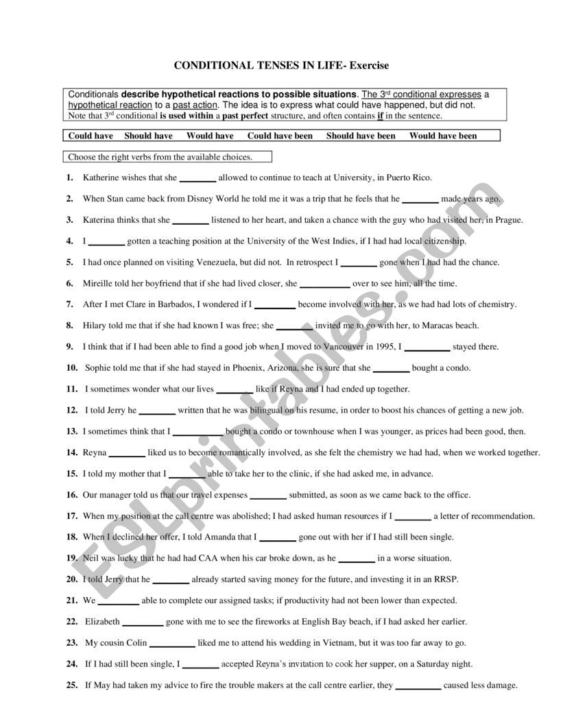 Conditionals in Life worksheet