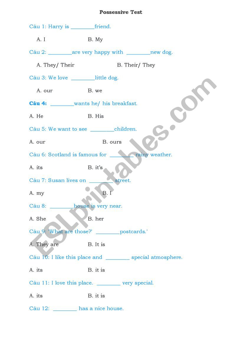 Possessives worksheet