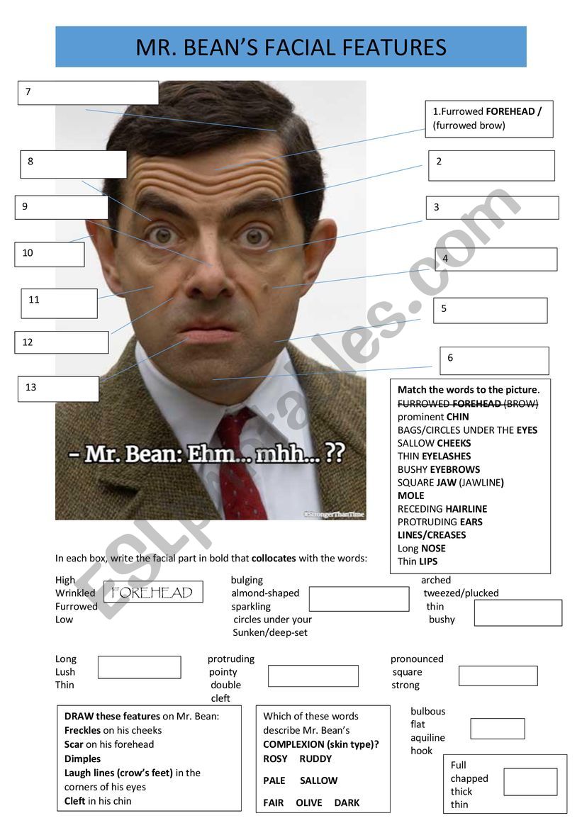 Mr. Bean�s Facial Features  worksheet
