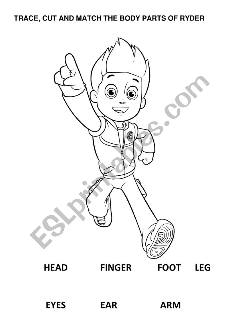 BODY PARTS TRACE, CUT AND MATCH