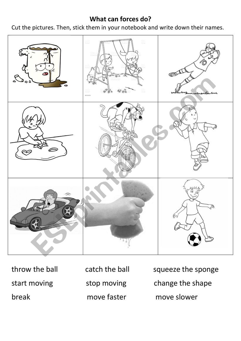 Forces worksheet